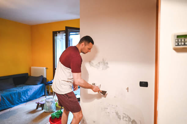 Best Home Mold Removal  in Lake Mathews, CA
