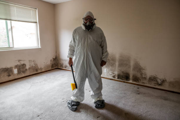 Best Professional Mold Removal  in Lake Mathews, CA